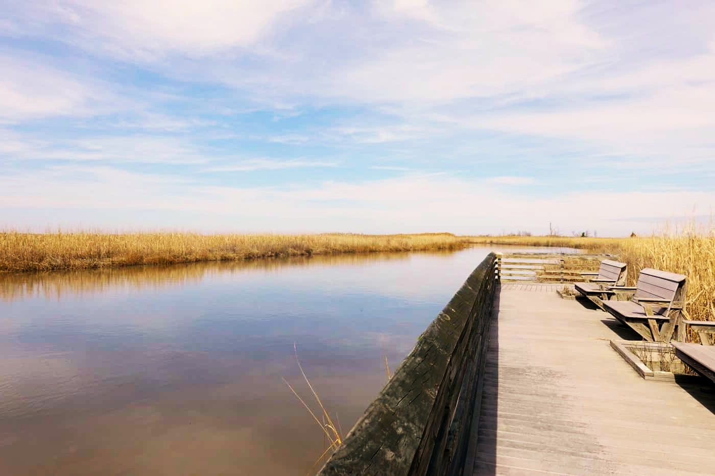 hidden-gems-of-delawares-bombay-hook-national-wildlife-refuge-boardwalk-trail