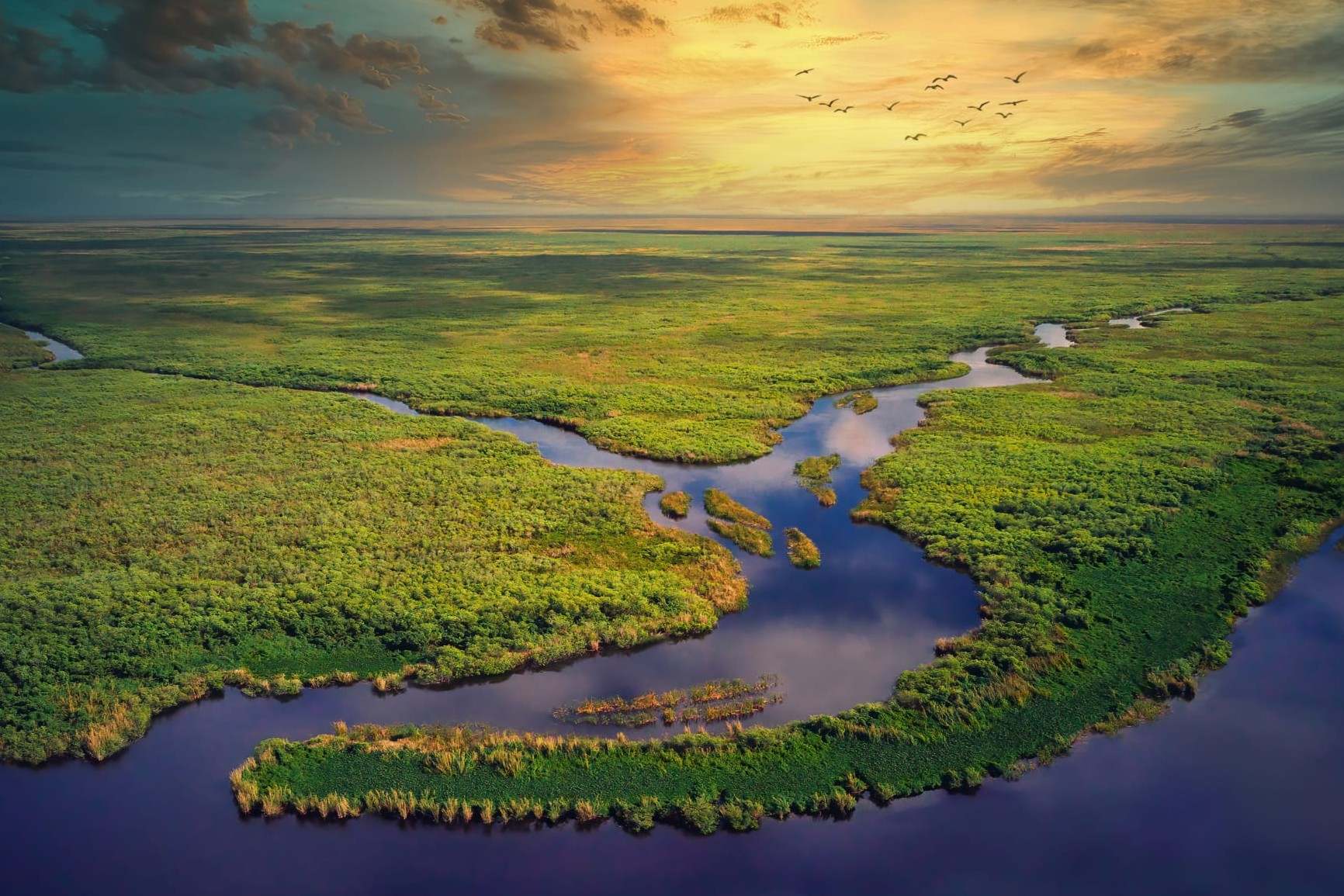 hidden-gems-of-floridas-everglades-flamingo-visitor-center-mangrove-boardwalk