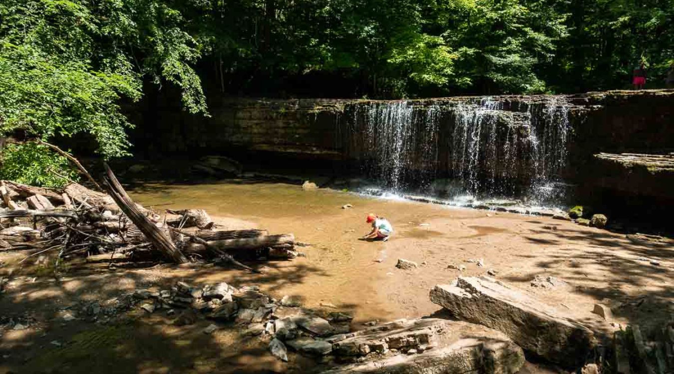 hidden-gems-of-minnesotas-nerstrand-big-woods-state-park