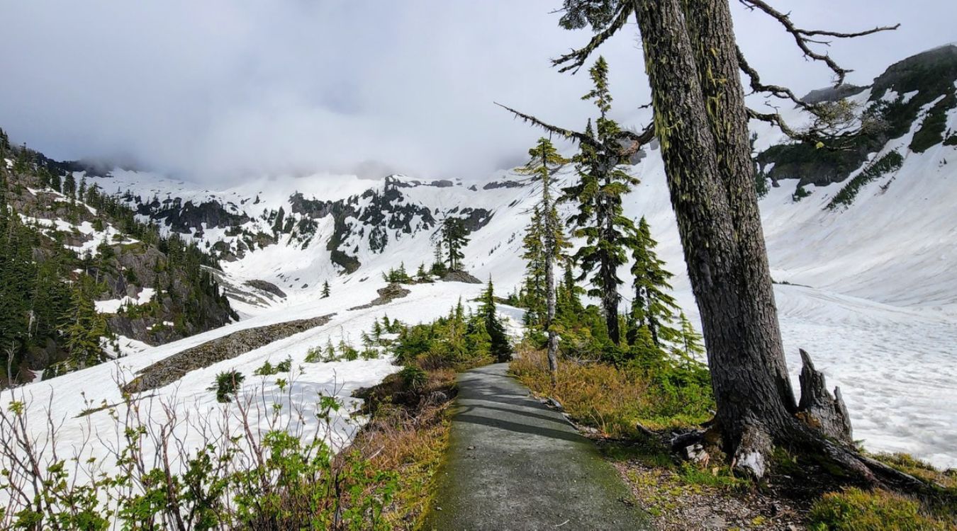 hidden-gems-of-mount-baker-heather-meadows