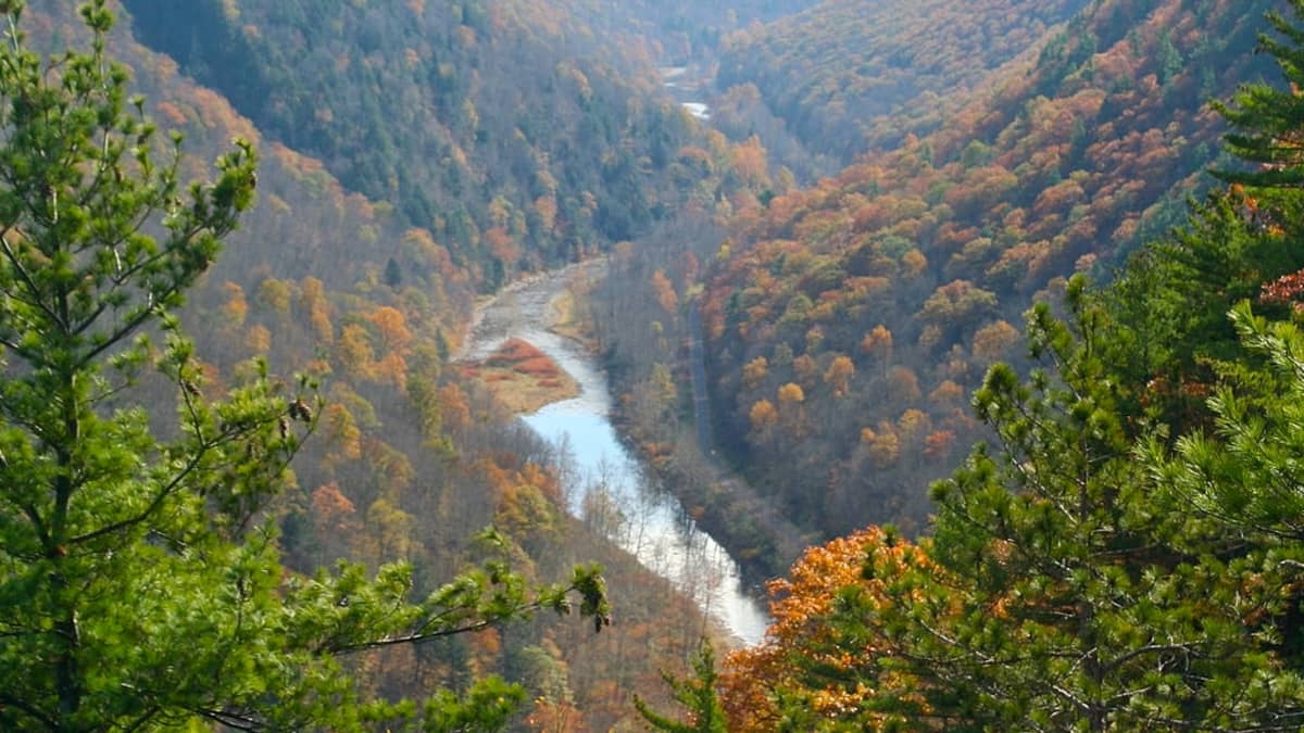 hidden-gems-of-pennsylvanias-pine-creek-gorge
