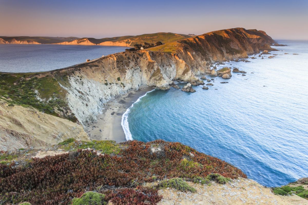 hidden-gems-of-point-reyes-elephant-seal-beach