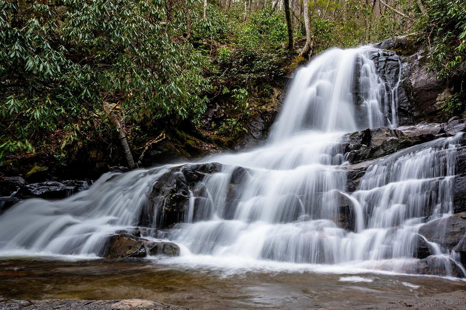 hidden-gems-of-tennessees-great-smokies-laurel-falls-trail