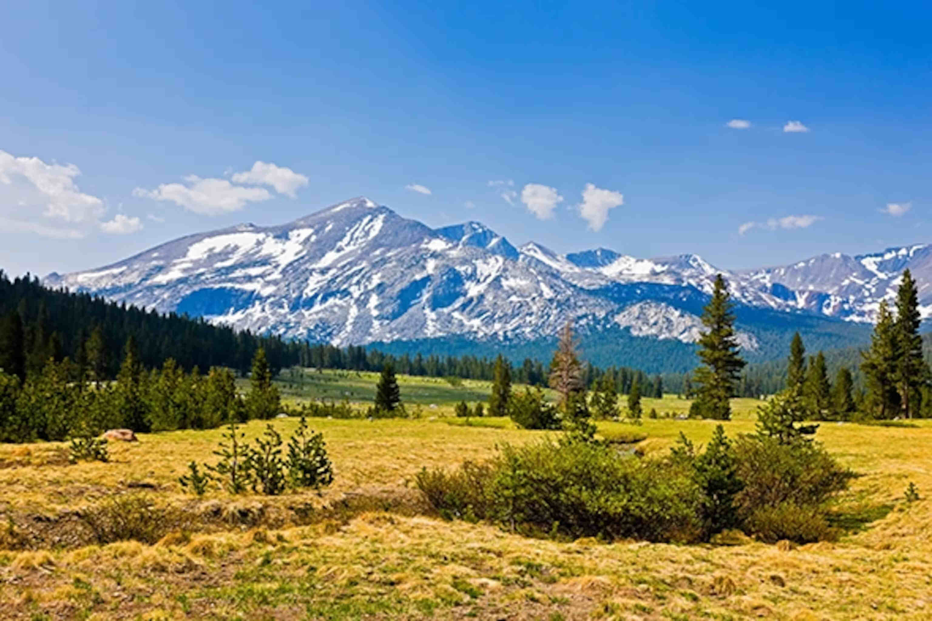 hidden-gems-of-tuolumne-meadows-in-californias-sierra-nevada