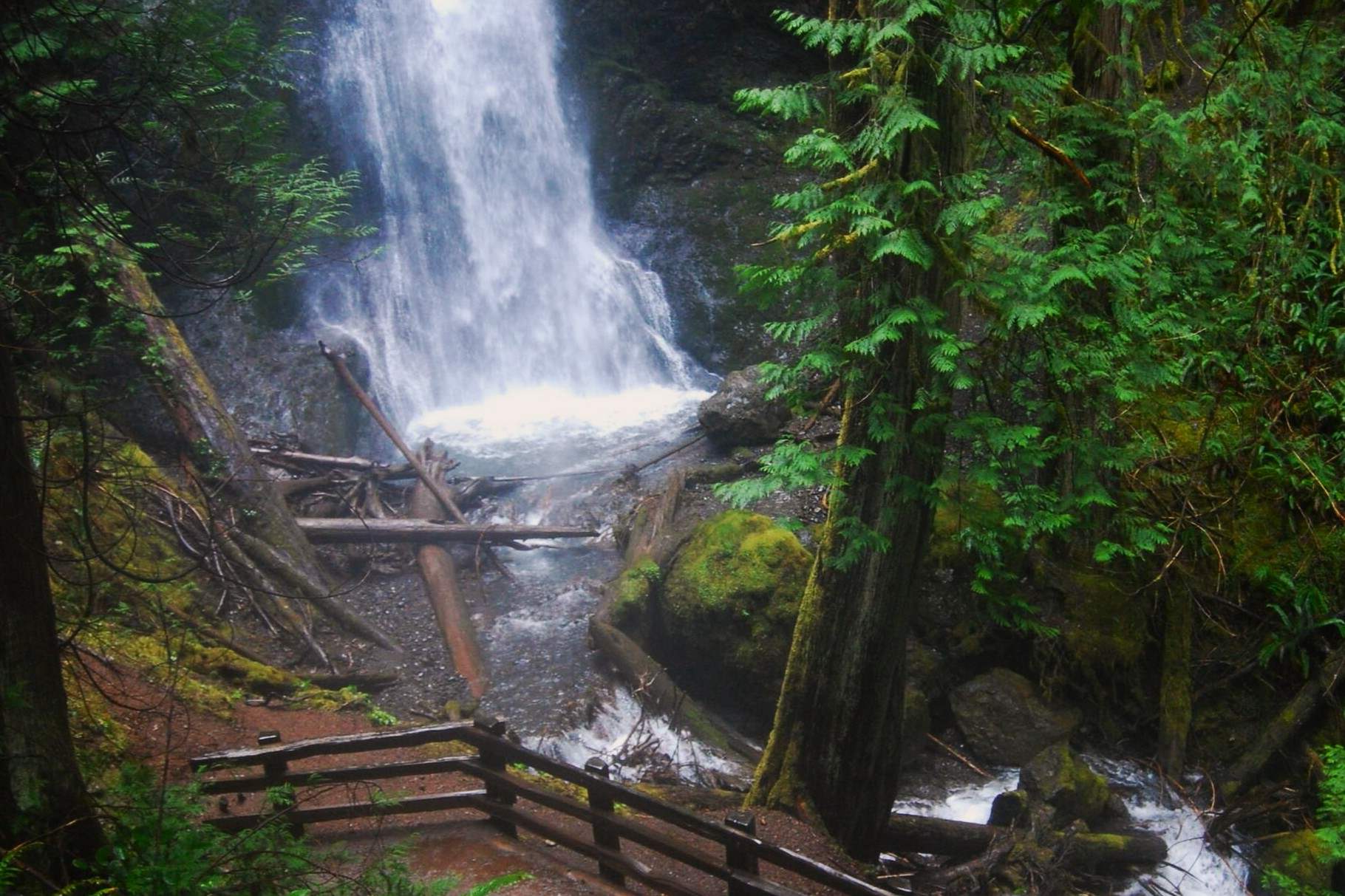 hidden-gems-of-washingtons-olympic-peninsula-marymere-falls-trail