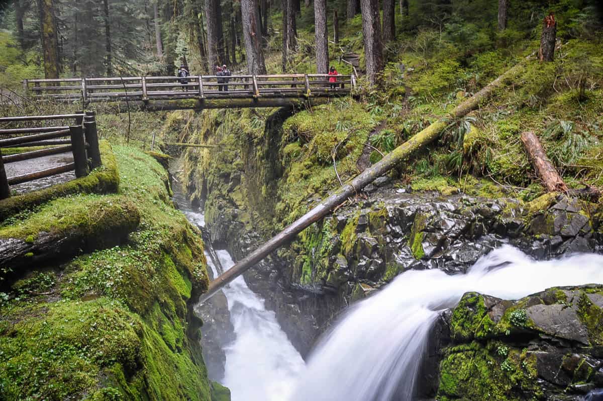 hidden-gems-of-washingtons-olympic-peninsula-sol-duc-falls-bridge-views