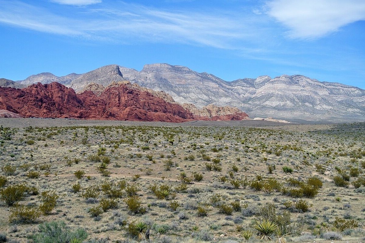 hidden-habitat-of-nevadas-red-rock-canyon-tortoises