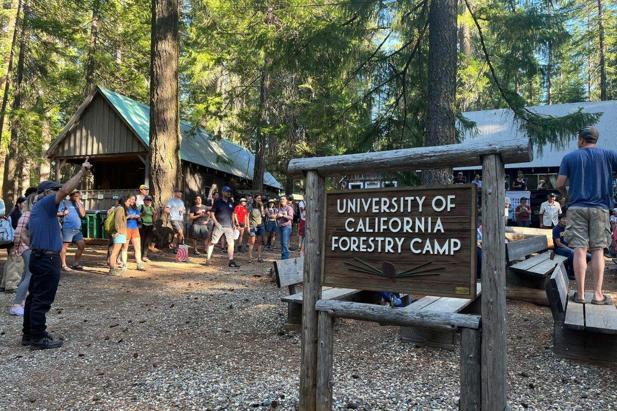 hidden-insights-of-californias-forest-fire-research