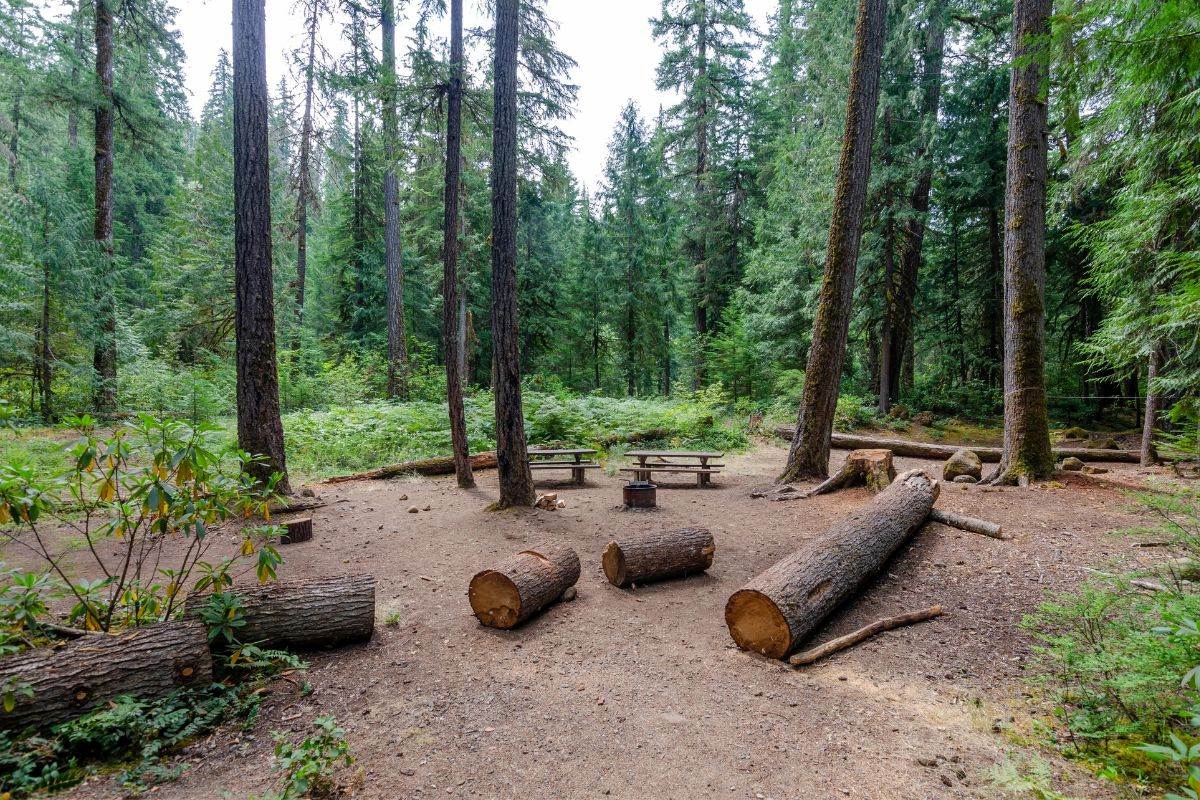 hidden-logging-camp-secrets-of-oregons-mount-jefferson-area