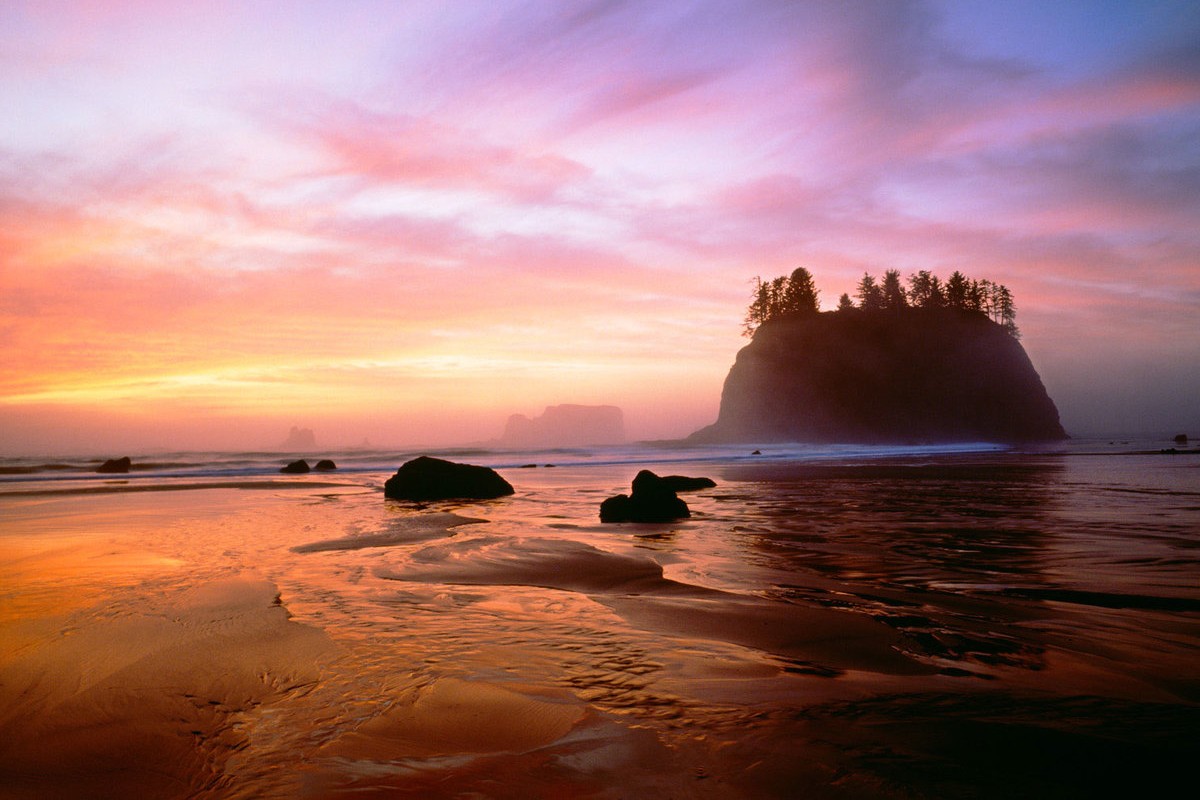 hidden-logging-equipment-graveyards-of-washingtons-olympic-peninsula
