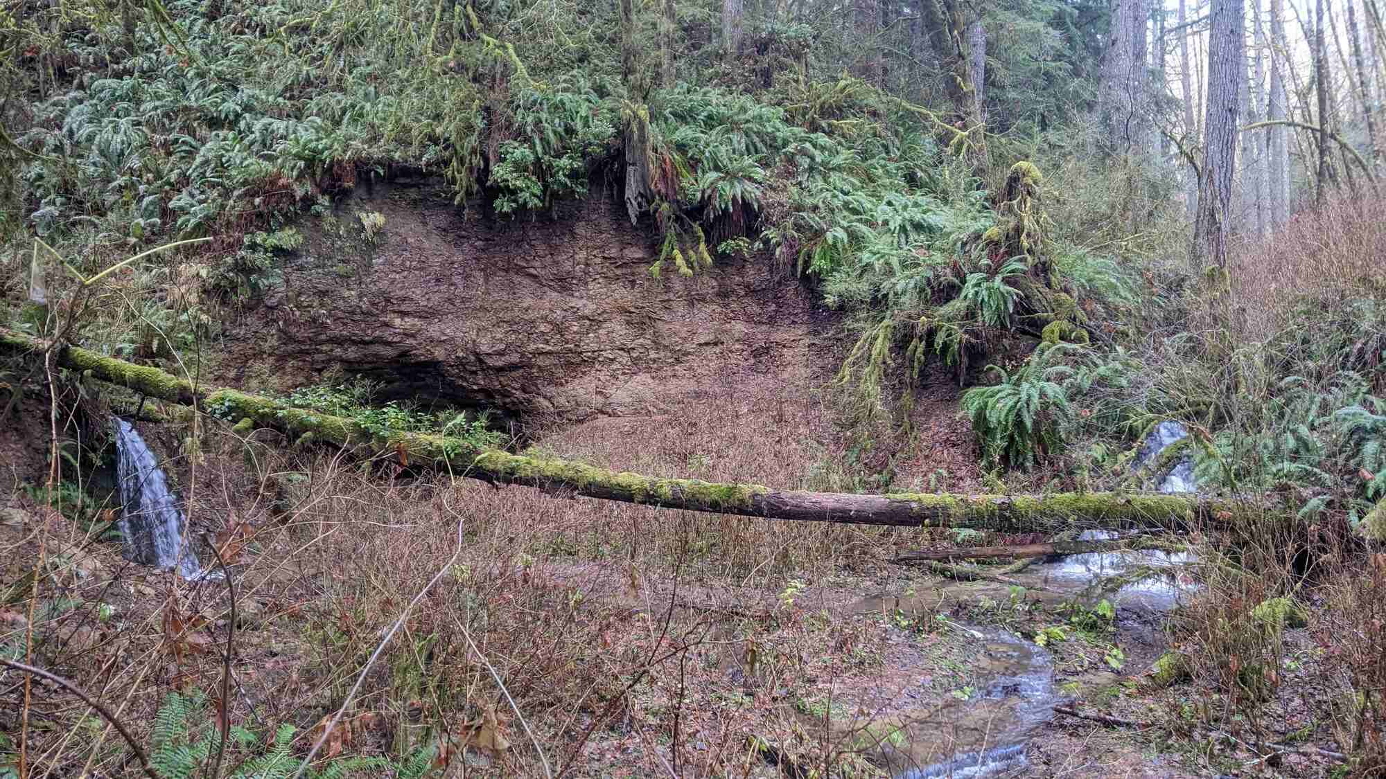 hidden-logging-railroad-secrets-of-oregons-santiam-pass
