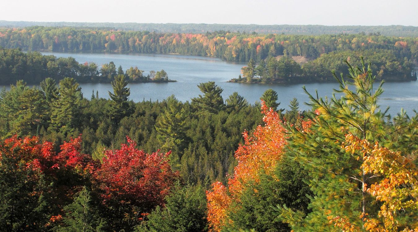 hidden-logging-trails-of-michigans-manistee-national-forest