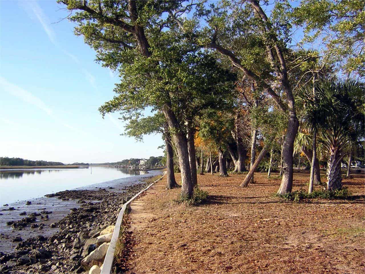 hidden-marshes-of-south-carolinas-francis-marion