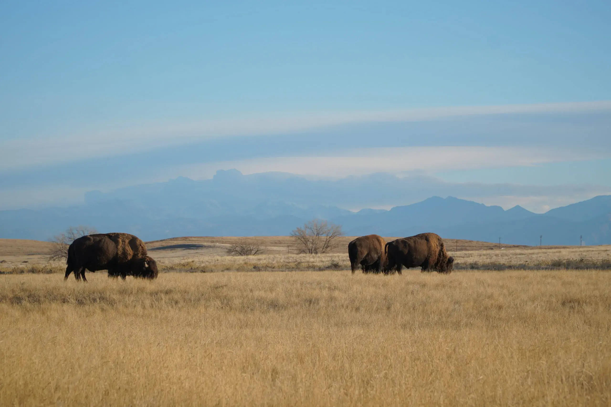 hidden-military-bunker-networks-in-colorados-rocky-mountain-arsenal