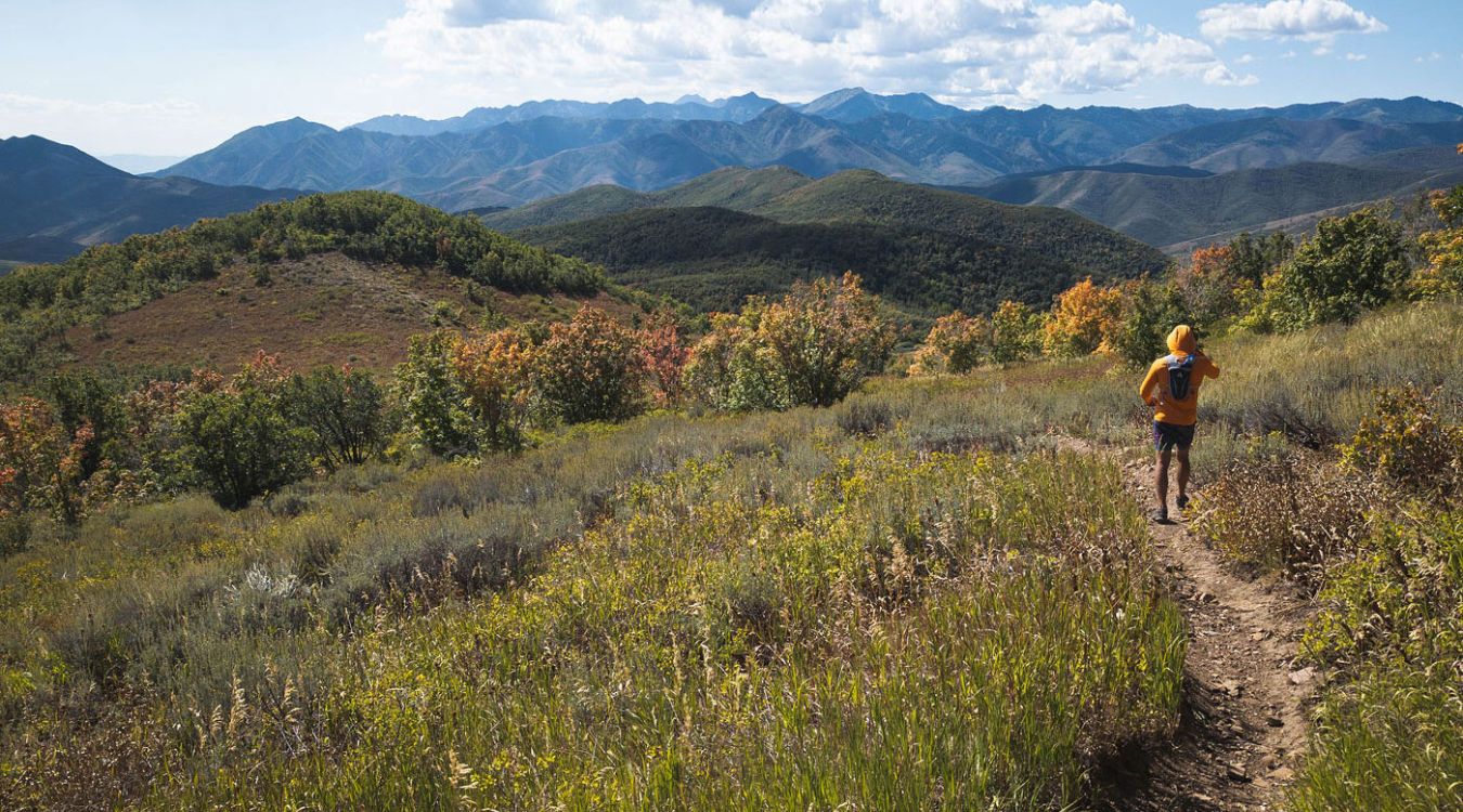 hidden-mountain-passes-in-utahs-wasatch-cache-national-forest
