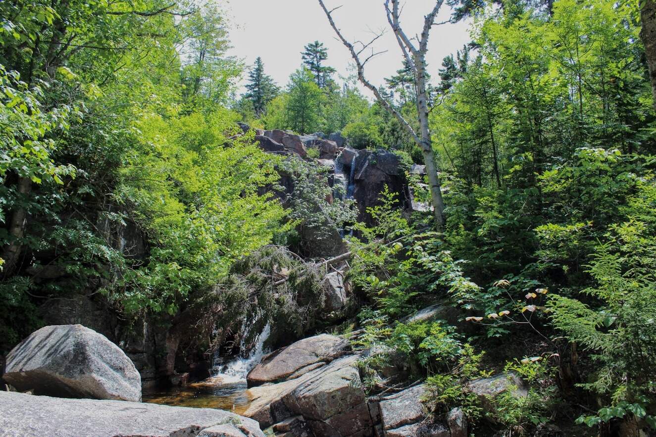 hidden-mountain-streams-at-zealand-falls-in-new-hampshire