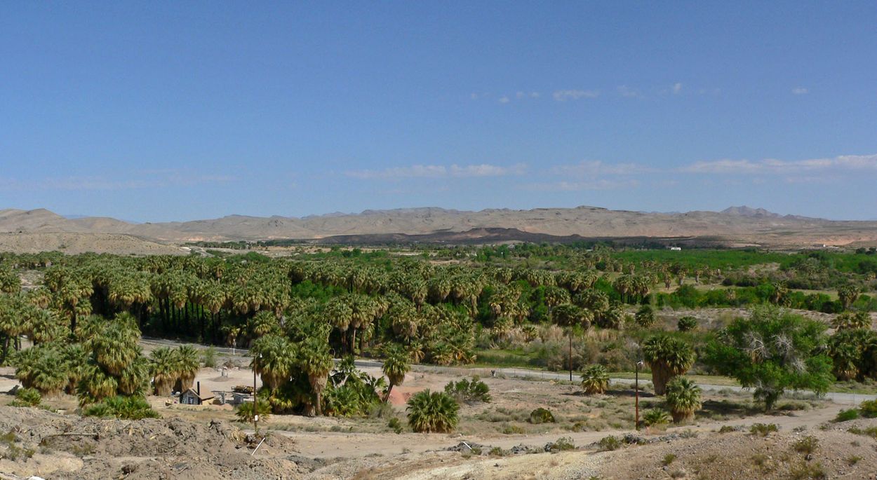 hidden-oases-of-nevadas-moapa-river-valley