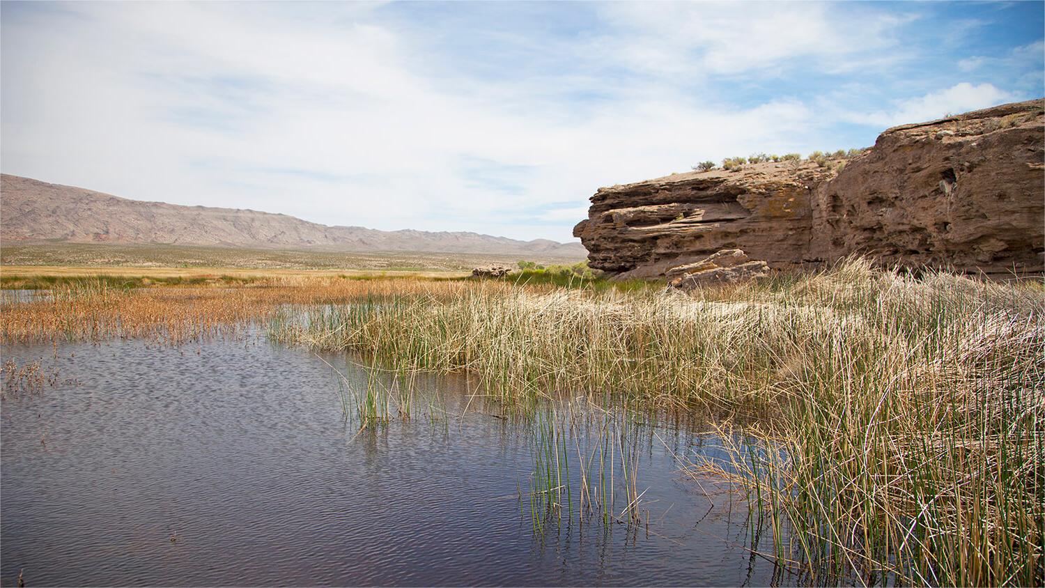 hidden-oases-of-nevadas-pahranagat-valley