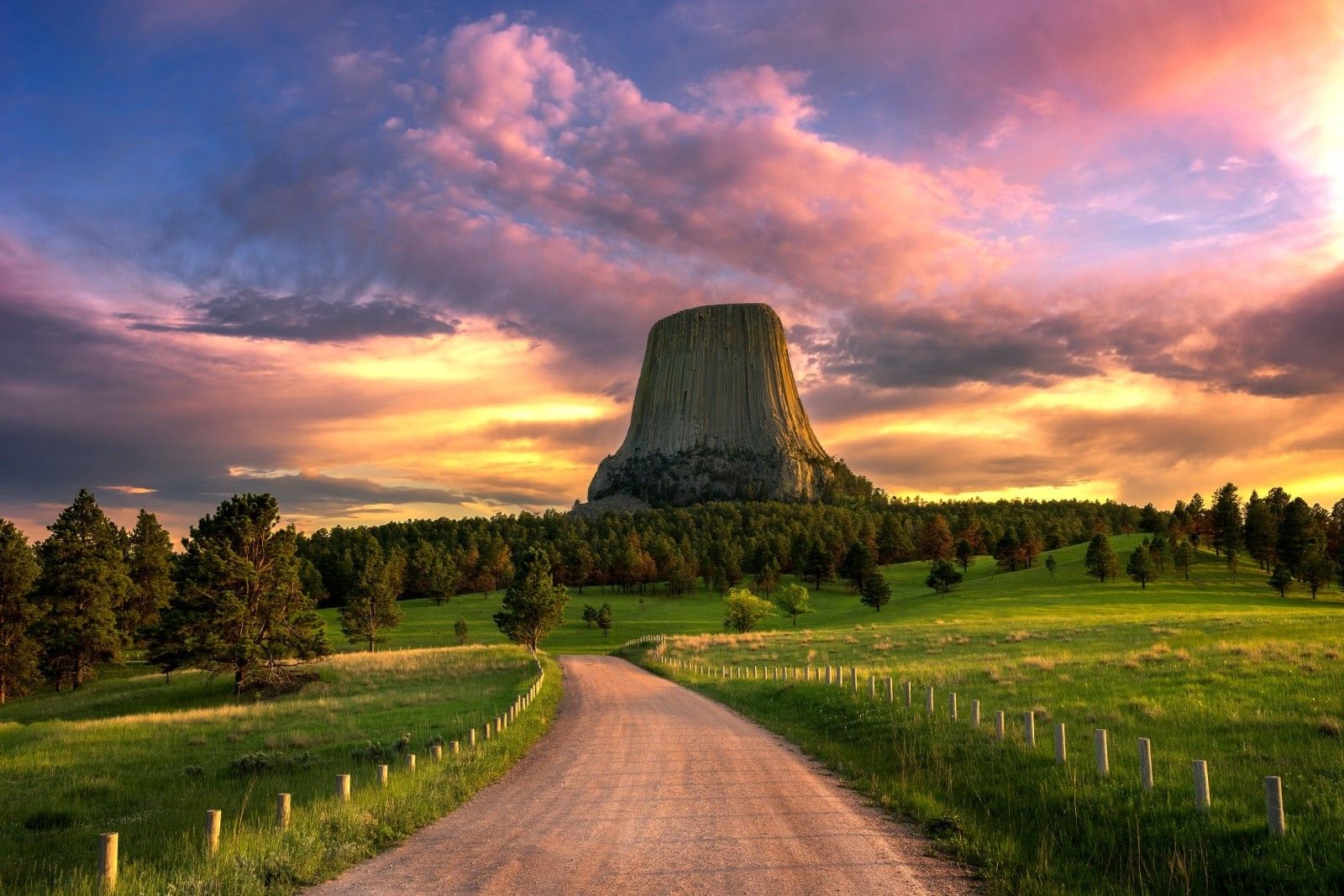 hidden-prairie-dog-towns-at-wyomings-devils-tower