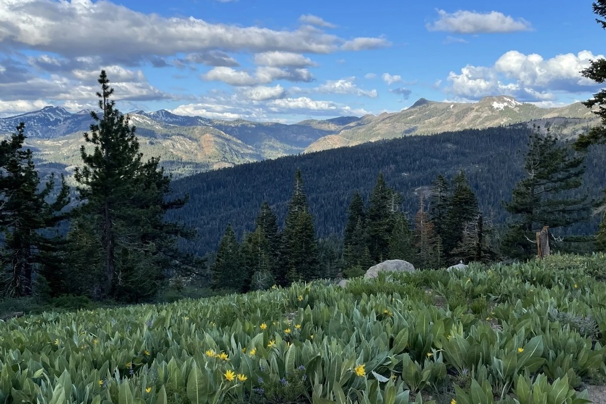 hidden-prairie-meadows-of-kansas-royal-gorge