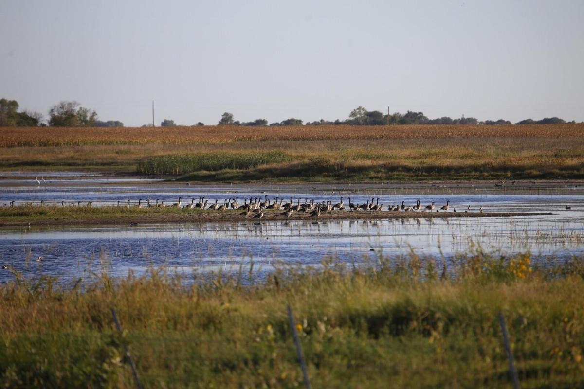 hidden-prairie-potholes-of-north-dakotas-duck-factory