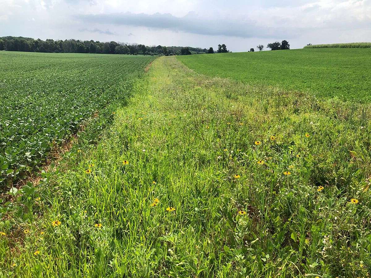 hidden-prairie-research-centers-of-minnesotas-biological-research-station