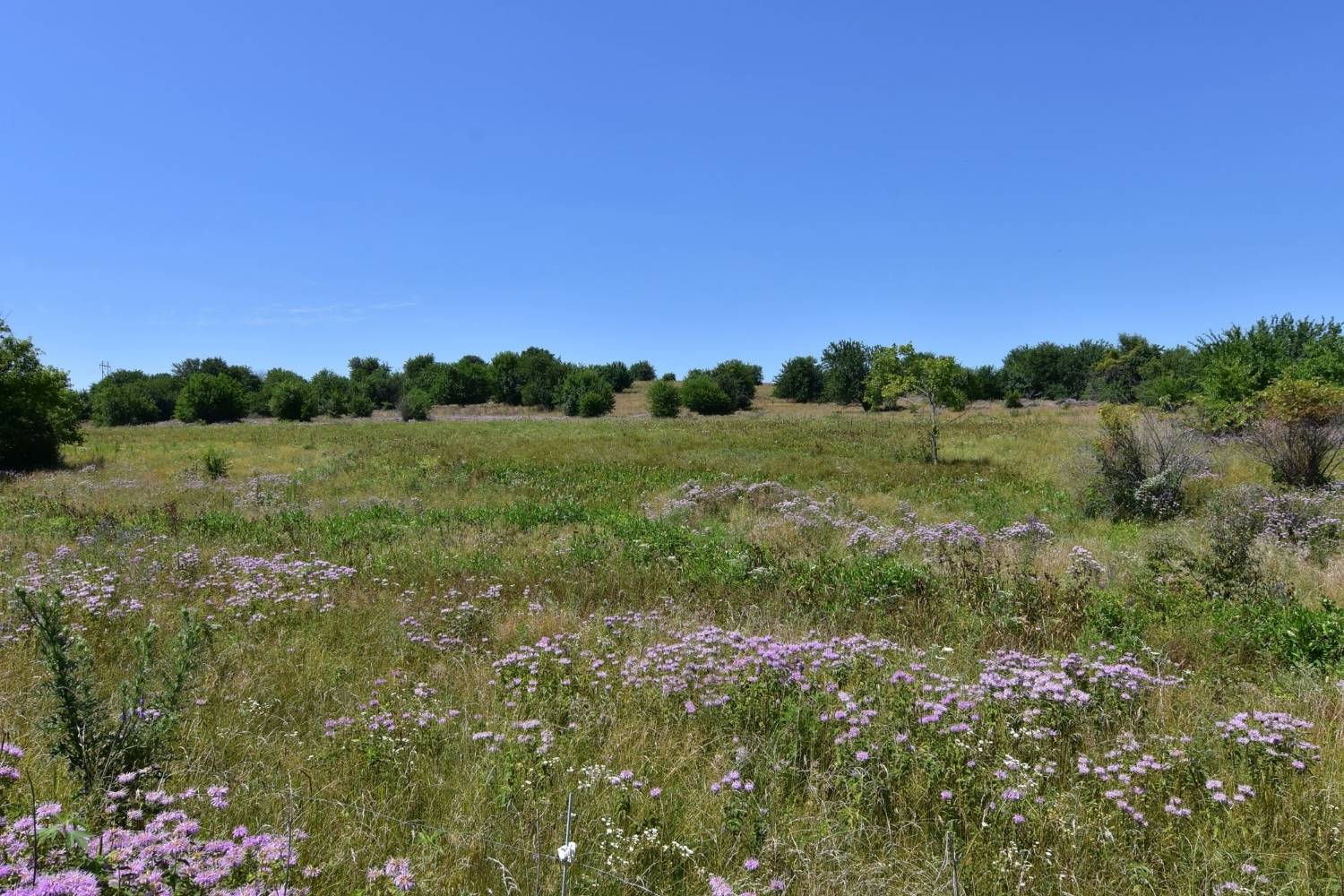 hidden-prairie-sloughs-of-iowas-silver-lake-fen