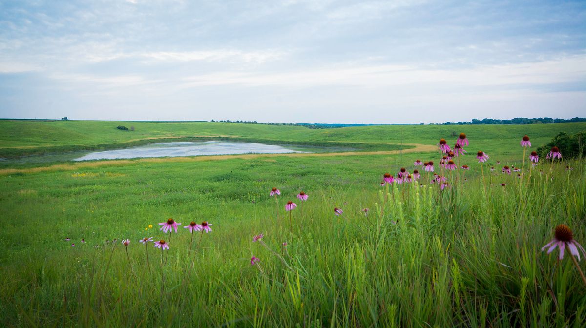 hidden-prairie-sloughs-of-iowas-waterman-prairie
