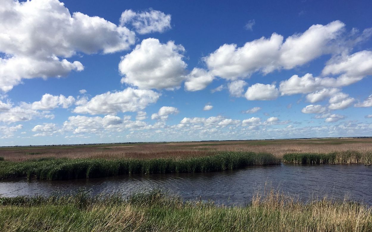 hidden-prairie-streams-in-kansas-cheyenne-bottoms