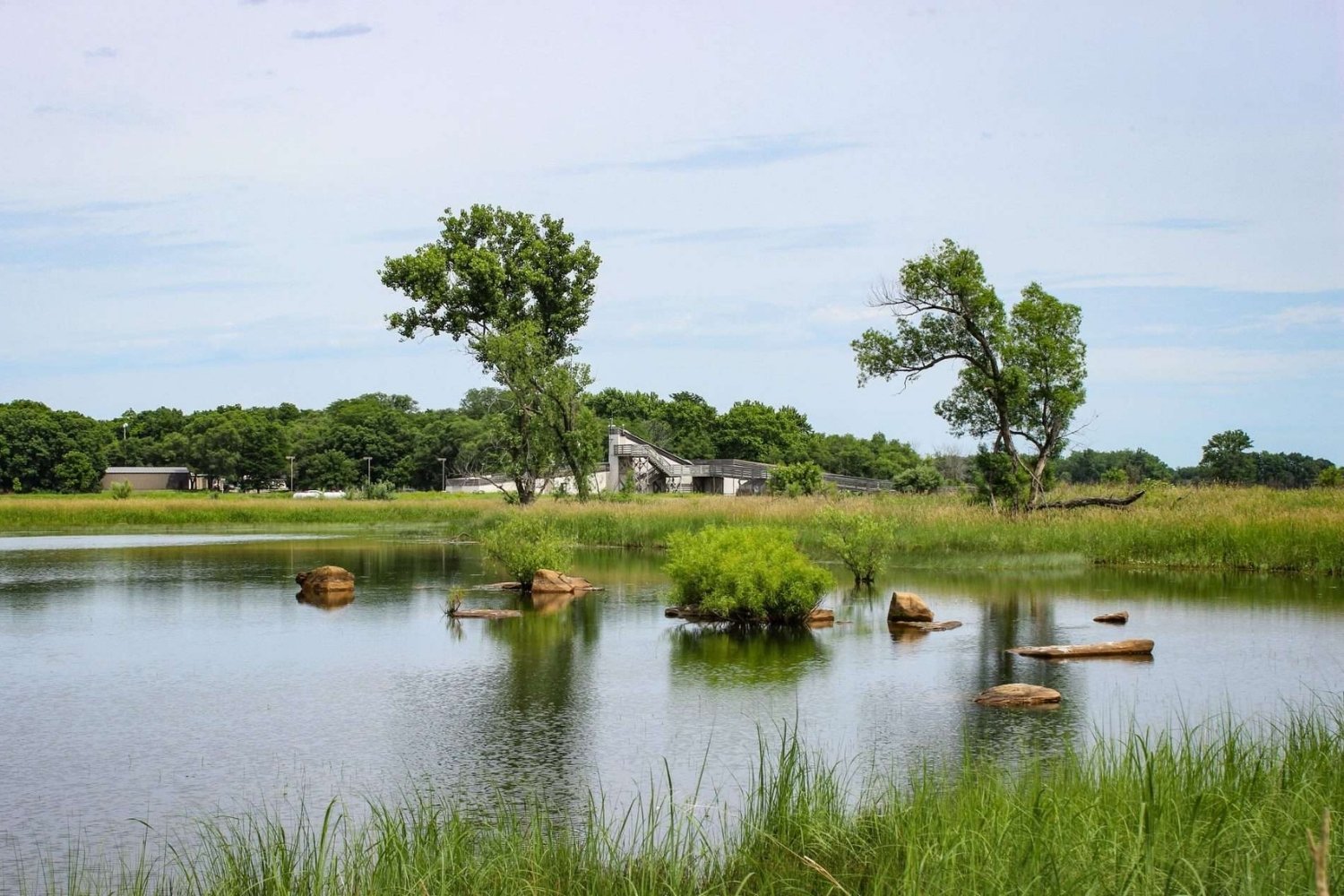 hidden-prairie-treasures-of-illinoiss-goose-lake