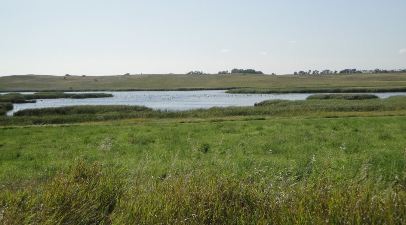 hidden-prairie-wetlands-of-north-dakotas-lostwood