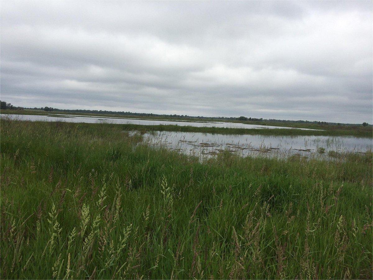 hidden-prairie-wetlands-of-wisconsins-necedah-refuge