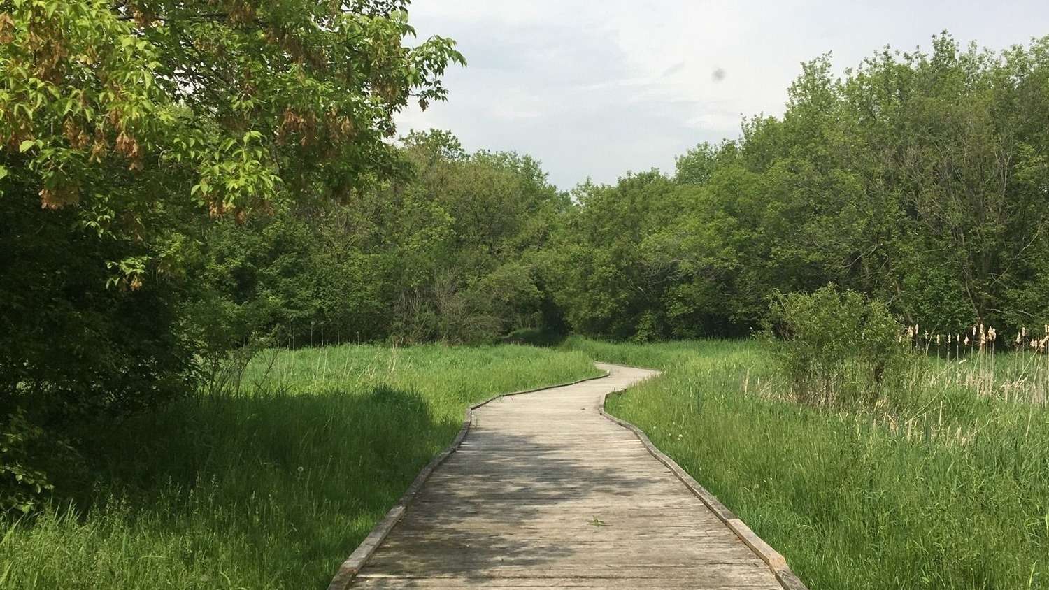 hidden-prohibition-era-spots-in-illinoiss-chain-olakes-region