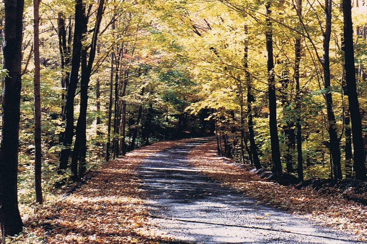 hidden-railroad-tunnels-in-pennsylvanias-laurel-highlands