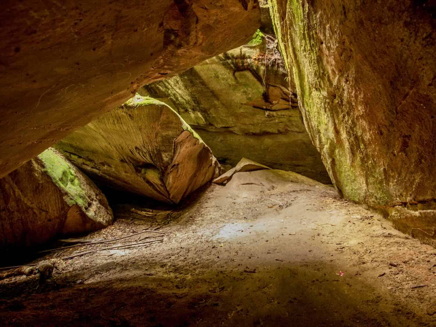 hidden-rivers-of-alabamas-dismals-canyon