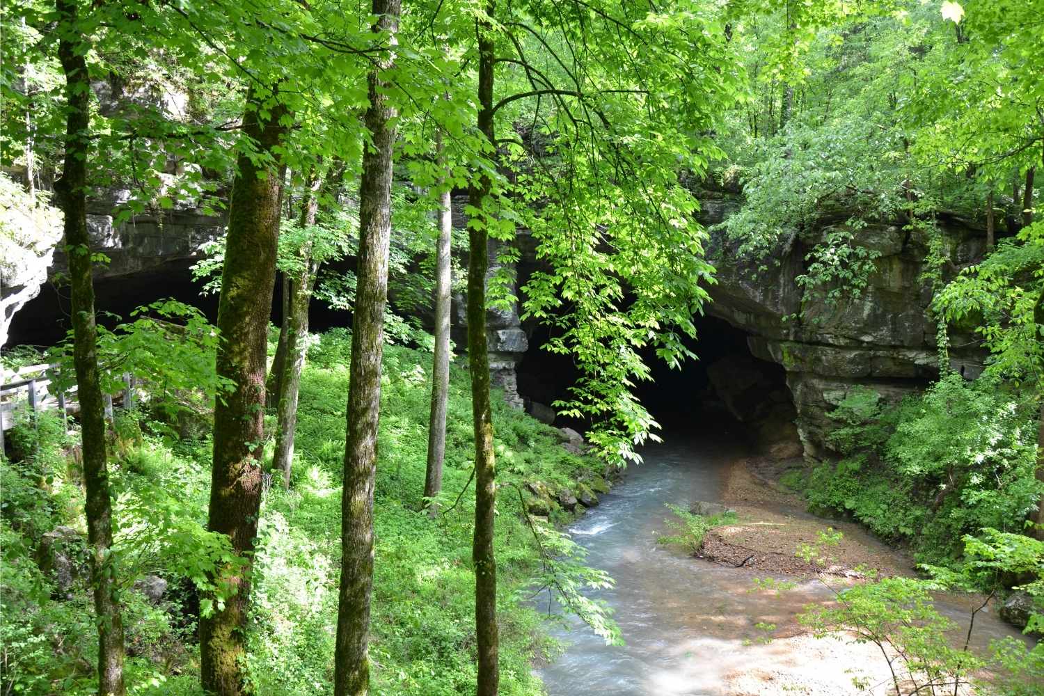 hidden-rivers-of-alabamas-russell-cave-monument