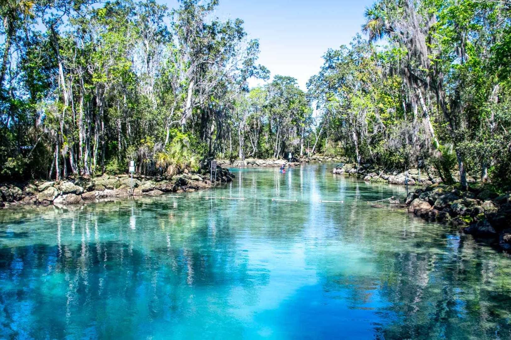 hidden-rivers-of-floridas-crystal-springs