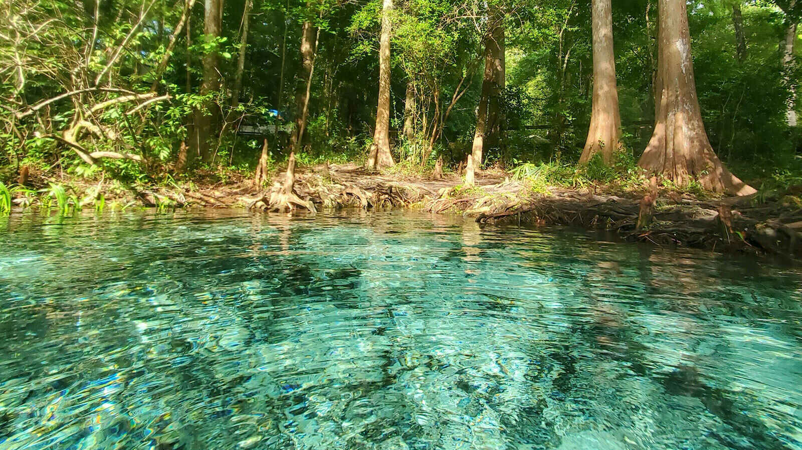 hidden-rivers-of-floridas-ginnie-springs