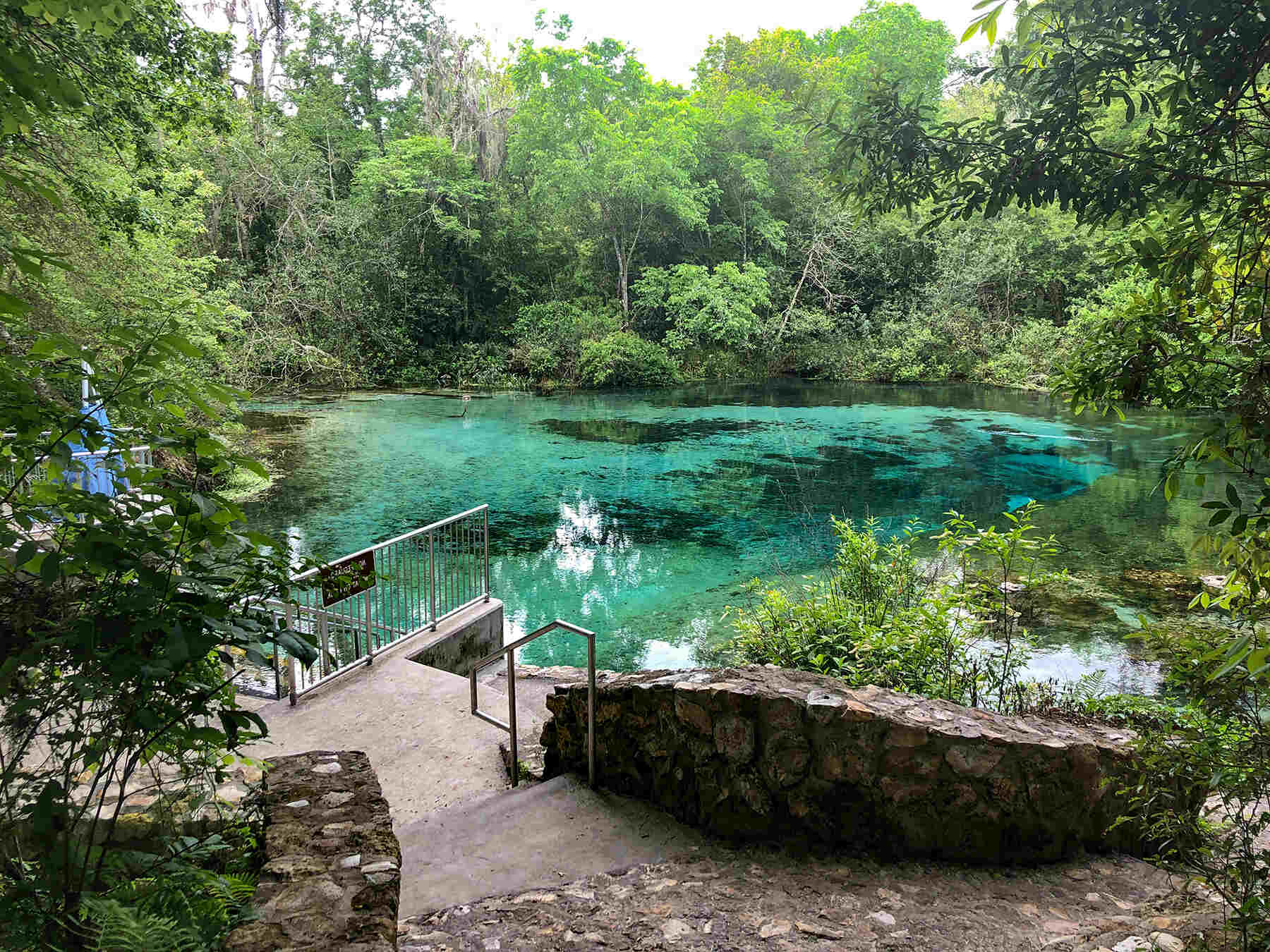 hidden-rivers-of-floridas-ichetucknee-springs-state-park