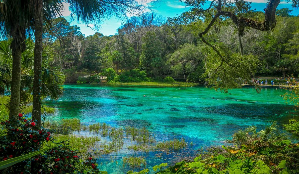 hidden-rivers-of-floridas-rainbow-springs