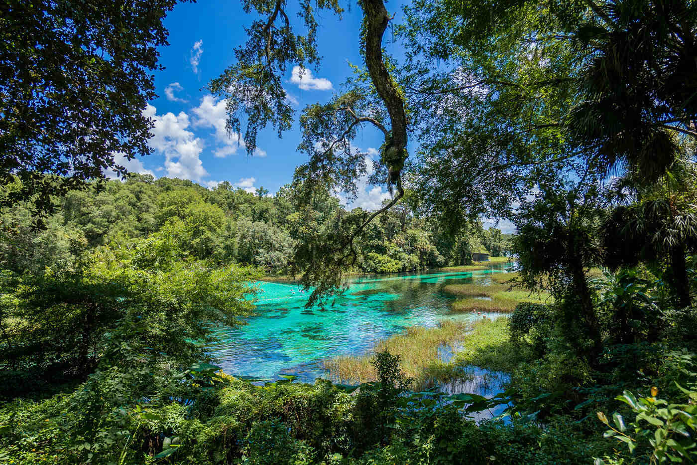 hidden-rivers-of-floridas-rainbow-springs-state-park