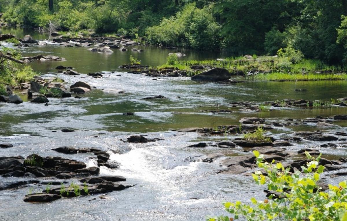 hidden-rivers-of-tennessees-conasauga