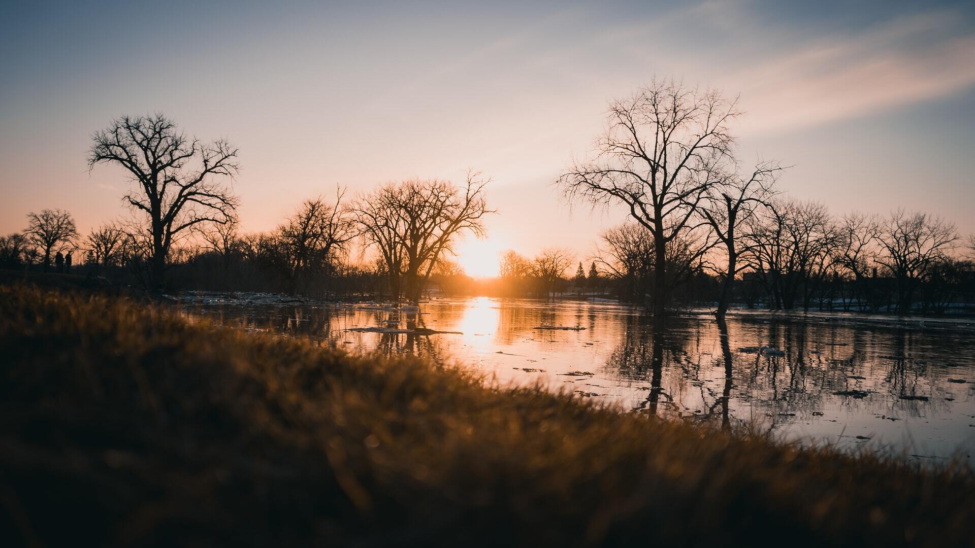 hidden-root-cellars-of-north-dakotas-red-river-valley