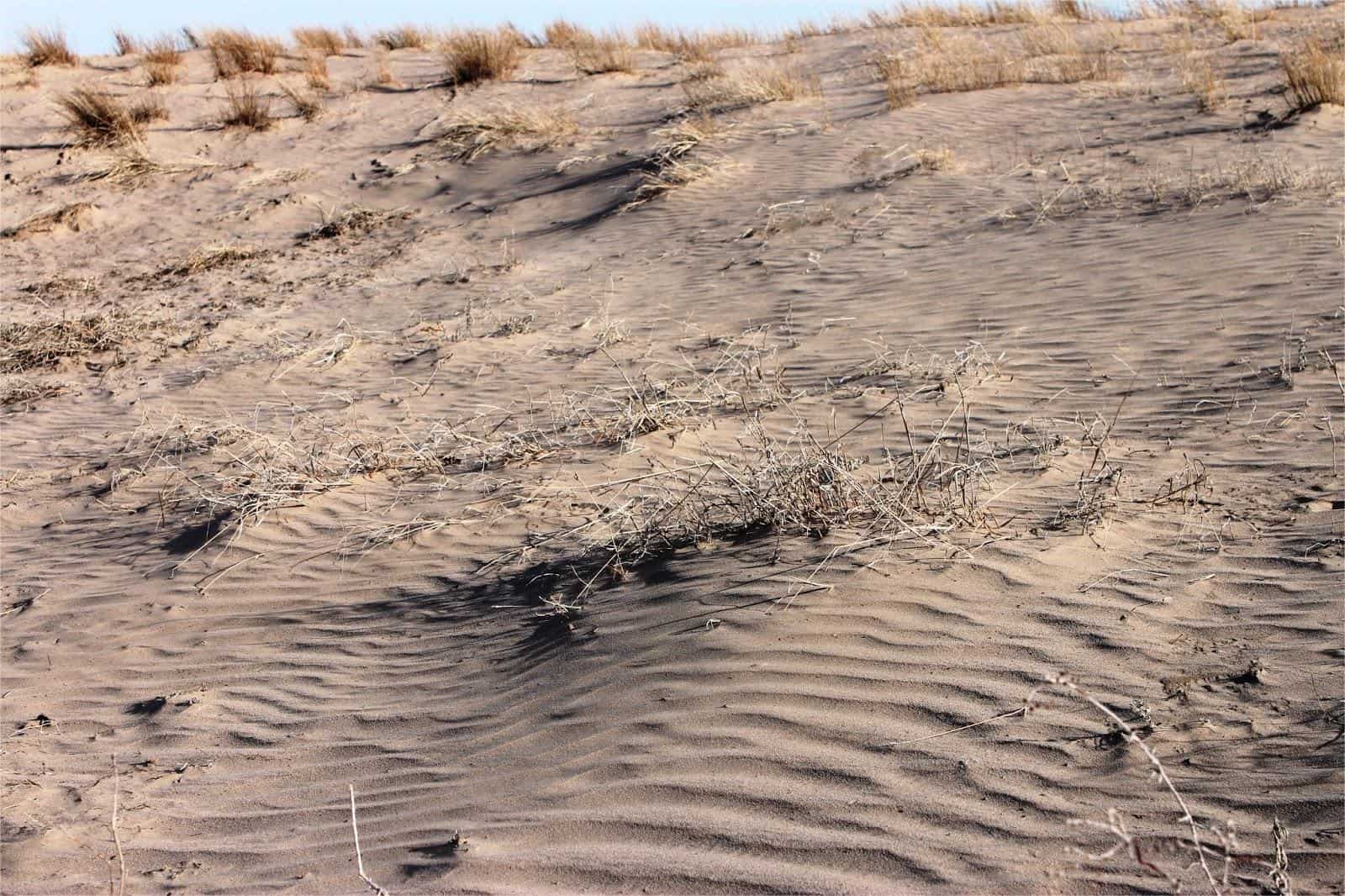 hidden-sand-dunes-of-nebraskas-ash-hollow