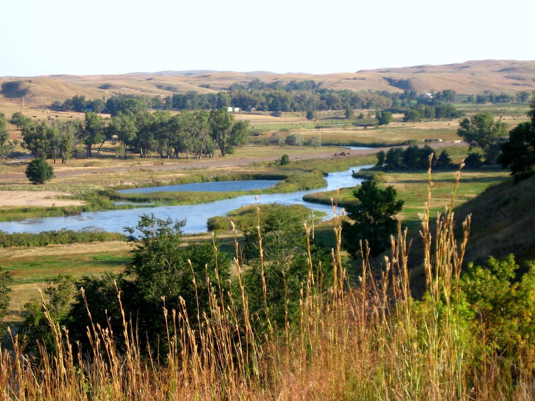 hidden-sand-hills-of-nebraskas-bessey-ranger-district