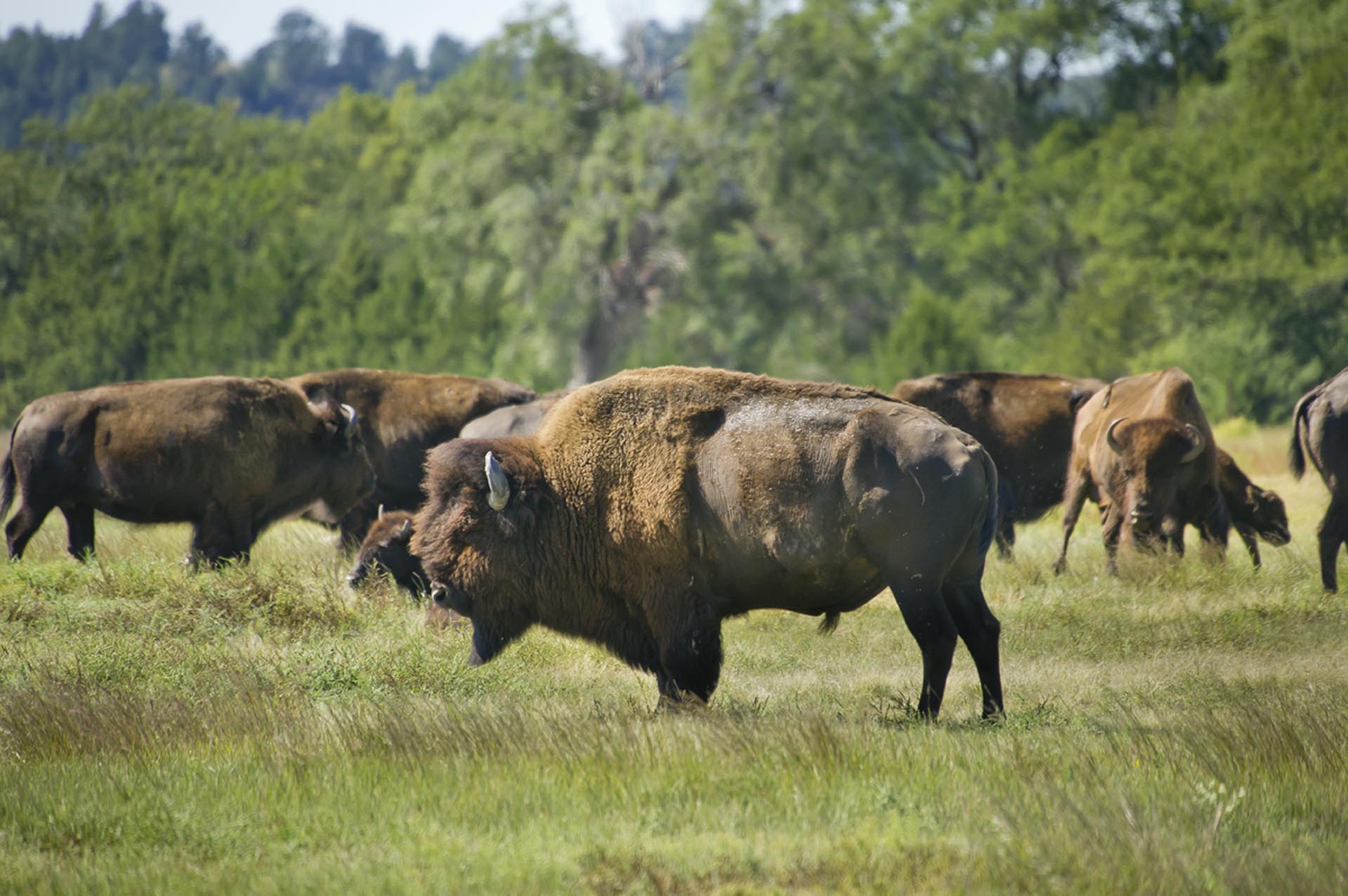 hidden-sand-prairies-of-fort-niobrara-in-nebraska