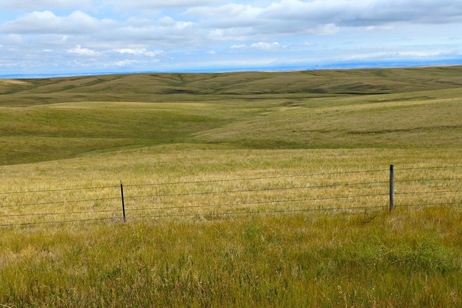 hidden-sand-prairies-of-nebraskas-ogallala-grassland