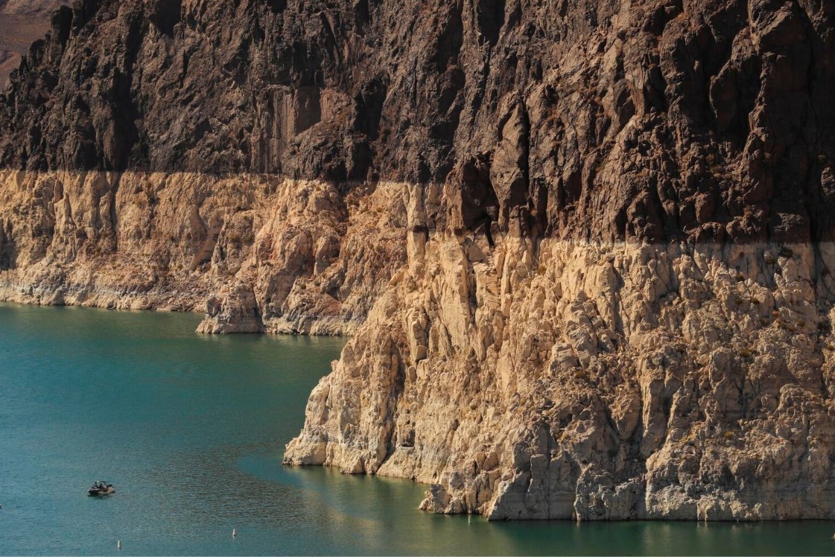 hidden-secrets-of-restoring-nevadas-lake-mead-ecosystem