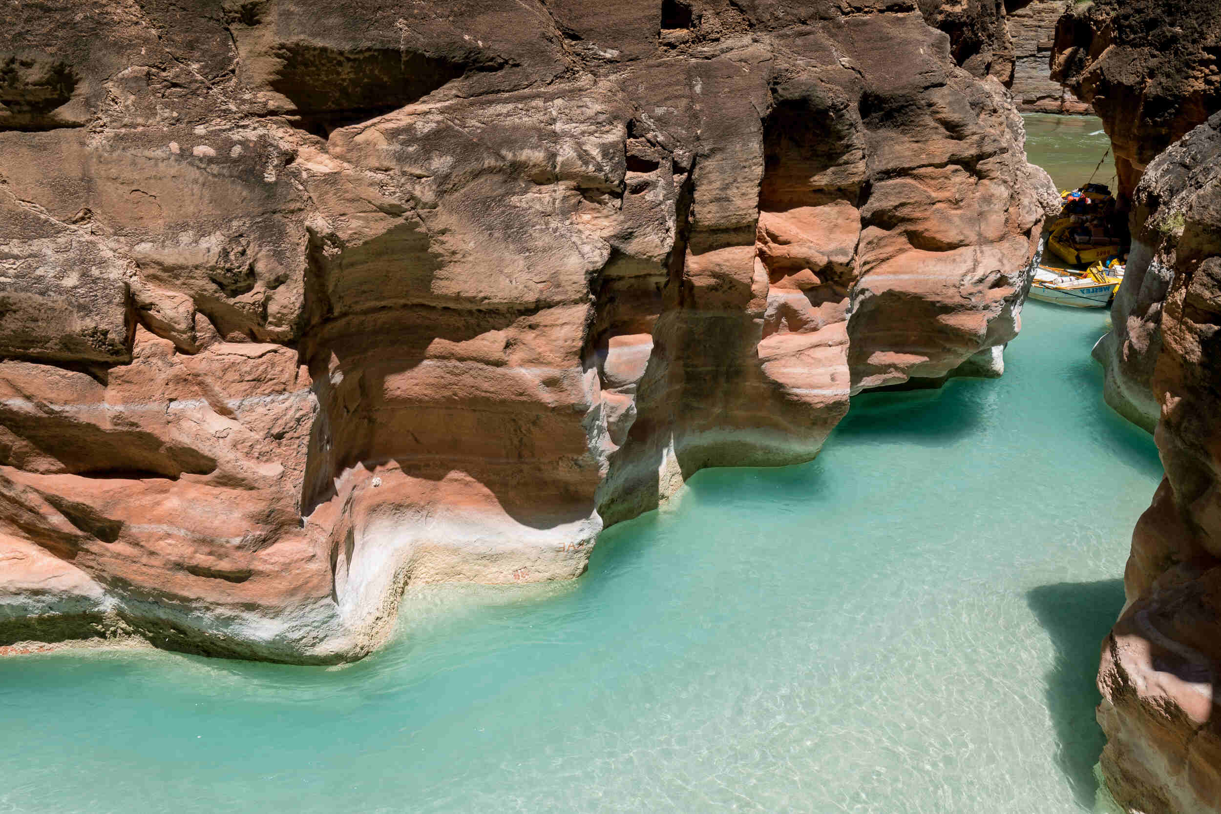 hidden-springs-of-arizonas-havasu-creek-confluence