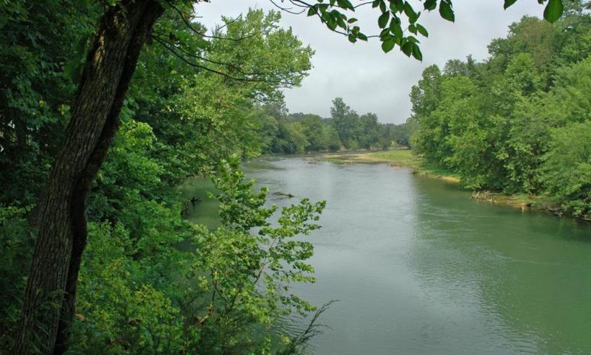 hidden-springs-of-arkansass-eleven-point-river